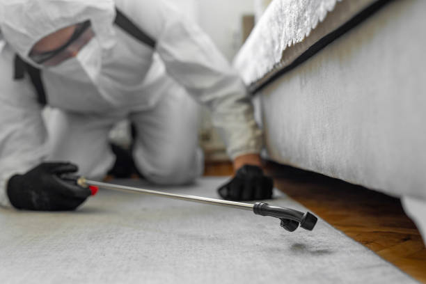 Professional Bed Bug Control technician working in Lake City, AR