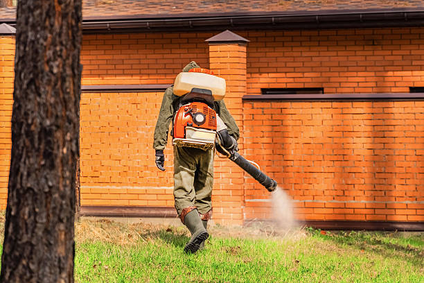 Trusted Termite Control service in Lake City, AR - Nex Pest Control